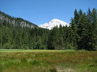 IMG_2492 View of Rainier from Longmire